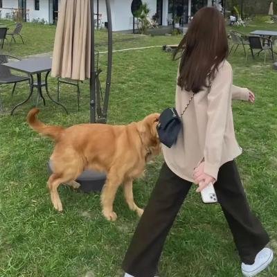 新贵 第二季